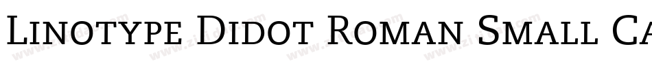 Linotype Didot Roman Small Caps & Oldstyle Figures字体转换